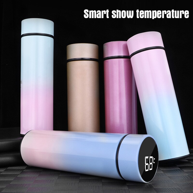 Temperature Digital Display Thermal Bottle
