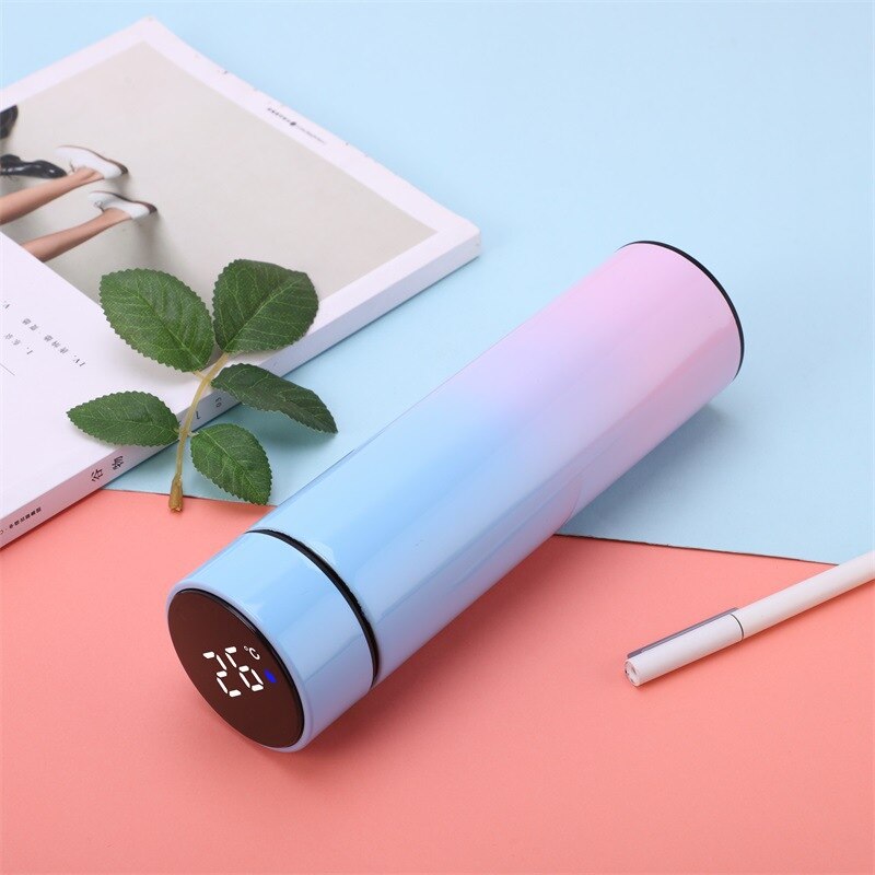 Temperature Digital Display Thermal Bottle