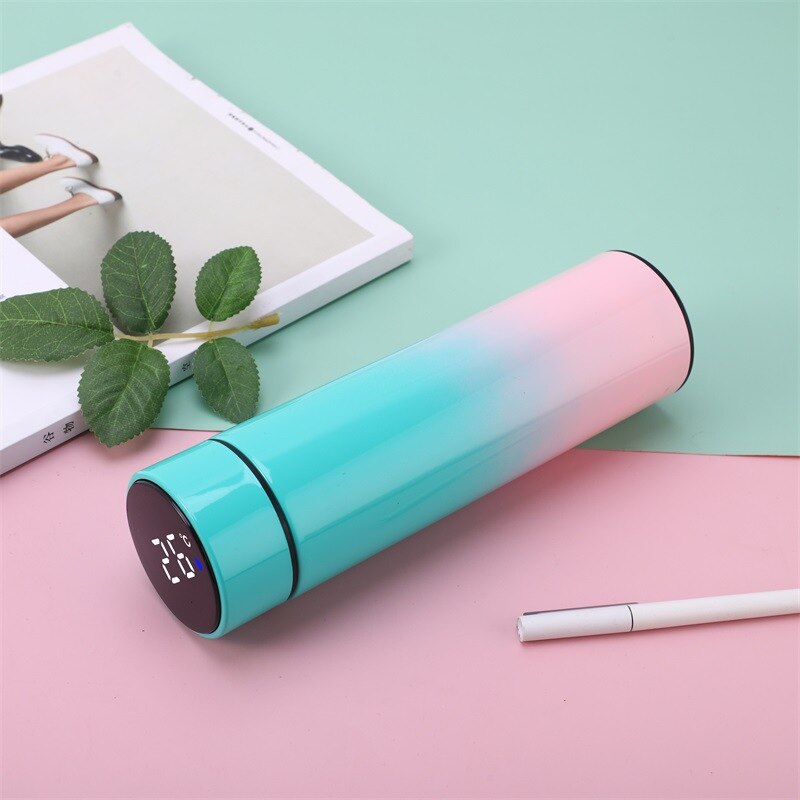 Temperature Digital Display Thermal Bottle