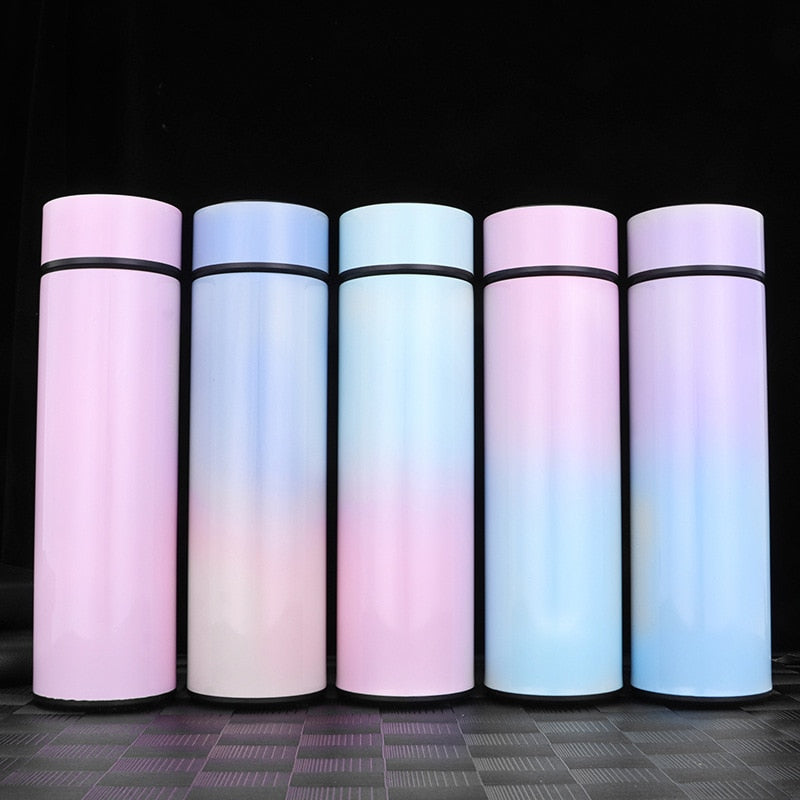 Temperature Digital Display Thermal Bottle