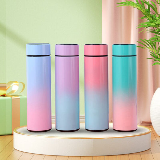 Temperature Digital Display Thermal Bottle