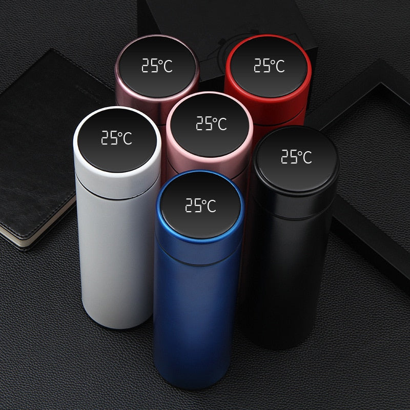 Temperature Display Water Bottle