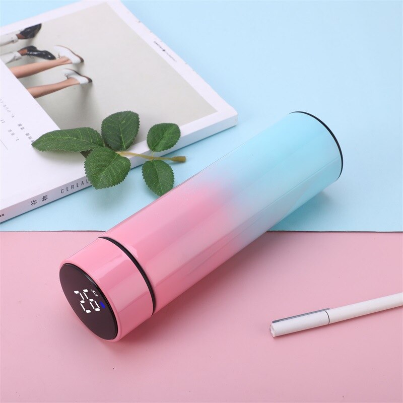 Temperature Digital Display Thermal Bottle