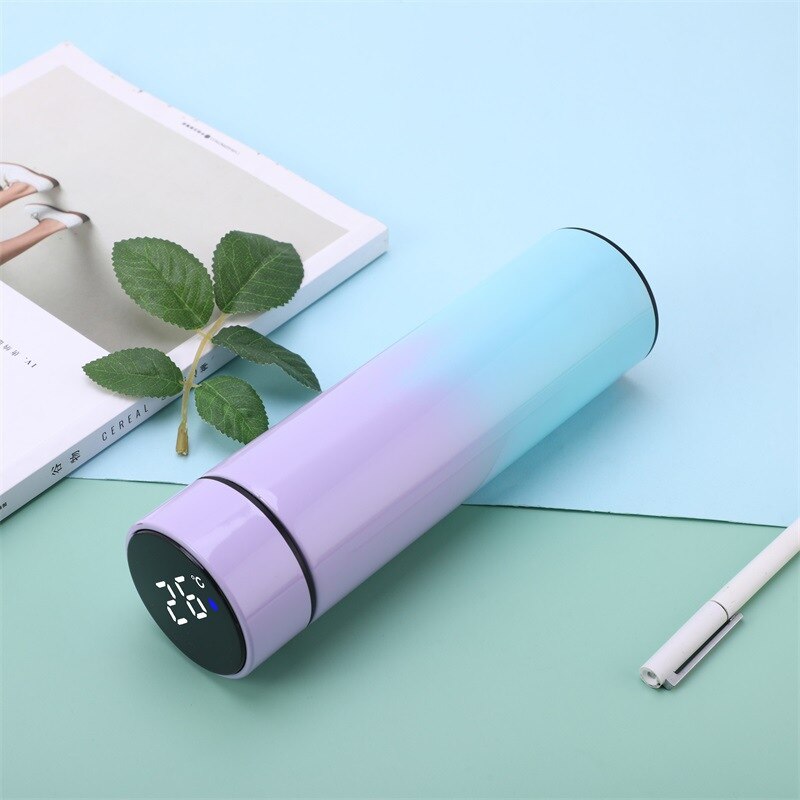 Temperature Digital Display Thermal Bottle