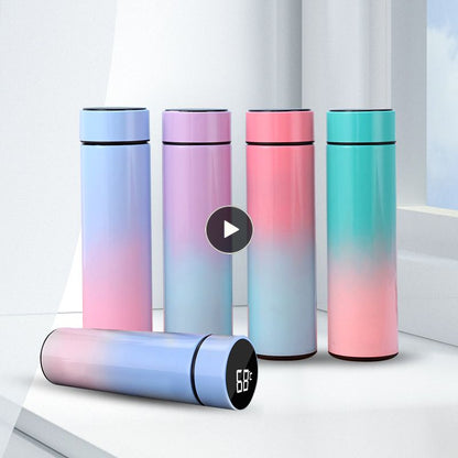 Temperature Digital Display Thermal Bottle